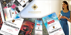 Serendipity2